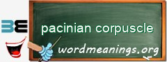 WordMeaning blackboard for pacinian corpuscle